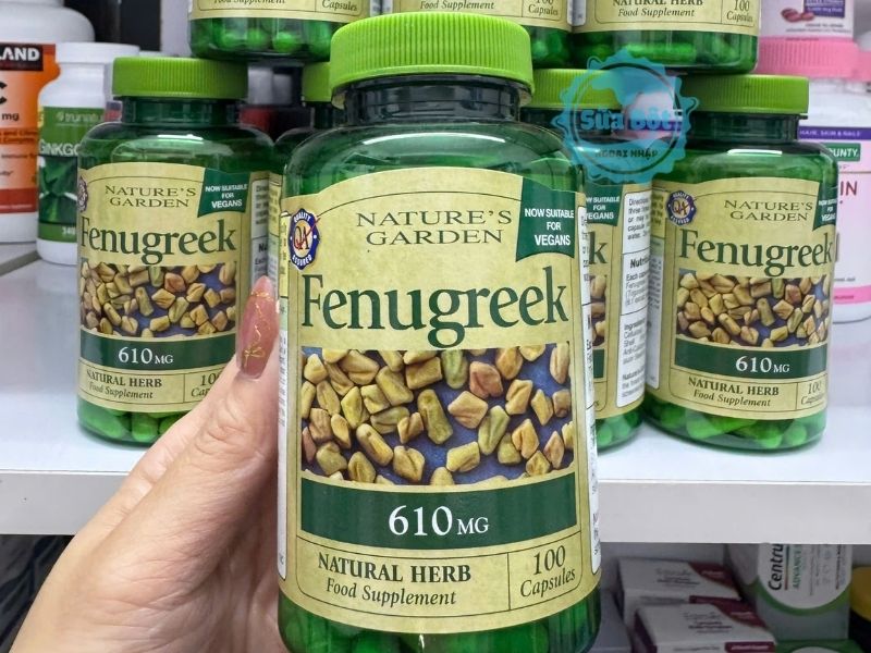 Sản phẩm giúp tăng tiết sữa cho mẹ có đủ sữa cho bé bú mỗi ngày Sản phẩm giúp tăng tiết sữa cho mẹ có đủ sữa cho bé bú mỗi ngày