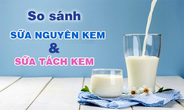Sữa tươi nguyên kem tăng cân