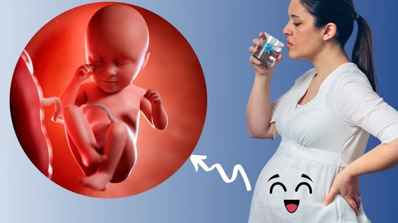 Prenatal Multi + DHA bổ sung dưỡng chất chăm sóc sức khỏe mẹ và bé 