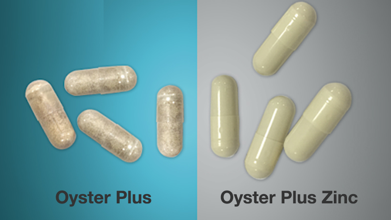 Viên Oyster Plus có vỏ trong nhìn được bột bên trong còn Oyster Plus Zinc vỏ đục không thấy bột