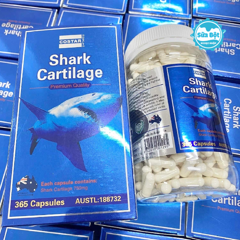 Công dụng của sụn cá mập Costar Blue Shark Cartilage của Úc
