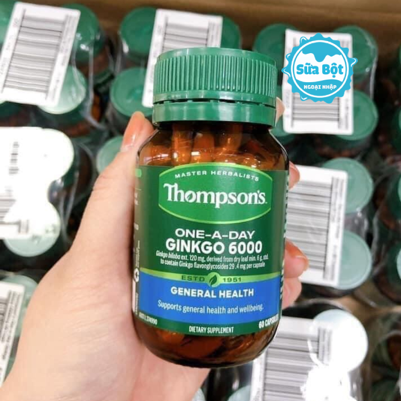 Viên uống Thompson's Ginkgo 6000mg có công dụng tăng cường tuần hoàn máu não