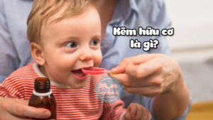 Kẽm hữu cơ là gì? Top 5 sản phẩm kẽm hữu cơ cho bé bán chạy trên thị trường