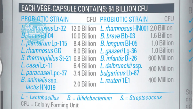 Bảng thành phần chi tiết của men vi sinh Life Space Double Strength Probiotic 