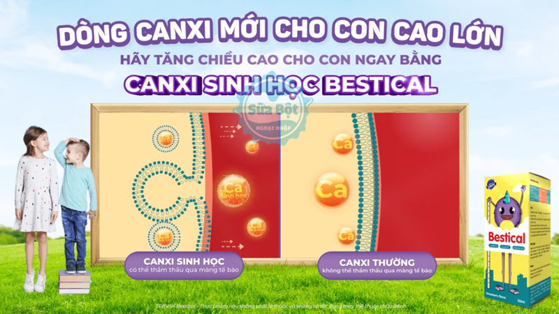 Canxi Bestical hấp thụ vào cơ thể dễ dàng, giúp phát triển chiều cao vượt trội cho bé