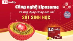 Ưu điểm của công nghệ liposome trong bào chế sắt sinh học Ferrolip