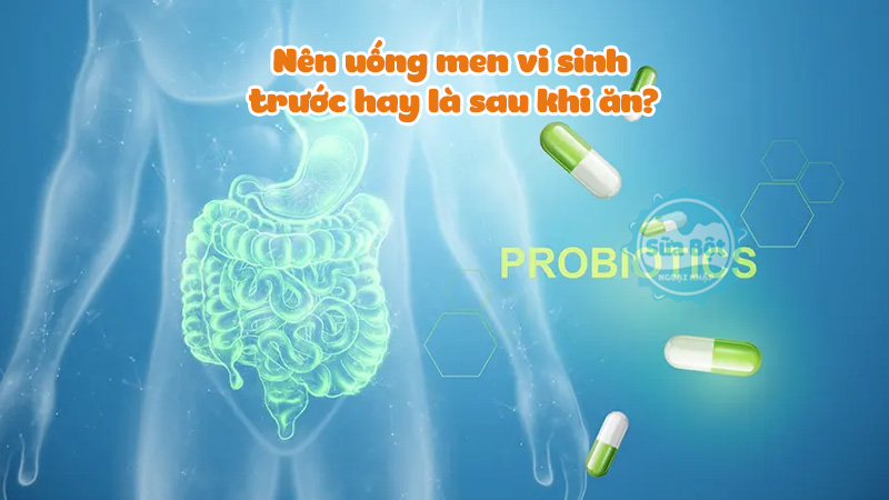 Nên uống men vi sinh trước hay là sau khi ăn? Một số lưu ý khi sử dụng men vi sinh