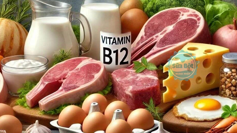 Cung cấp vitamin B12 từ trứng, thịt, cá, gia cầm, sữa, sản phẩm từ sữa