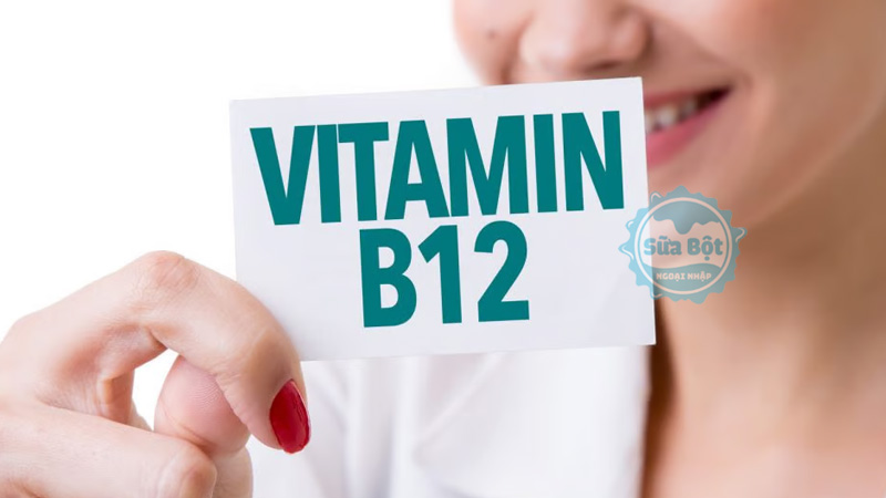 Vitamin B12 hỗ trợ sản xuất tế bào màu, tăng hệ miễn dịch