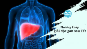 Các phương pháp giải độc gan sau Tết dành cho chồng hiệu quả