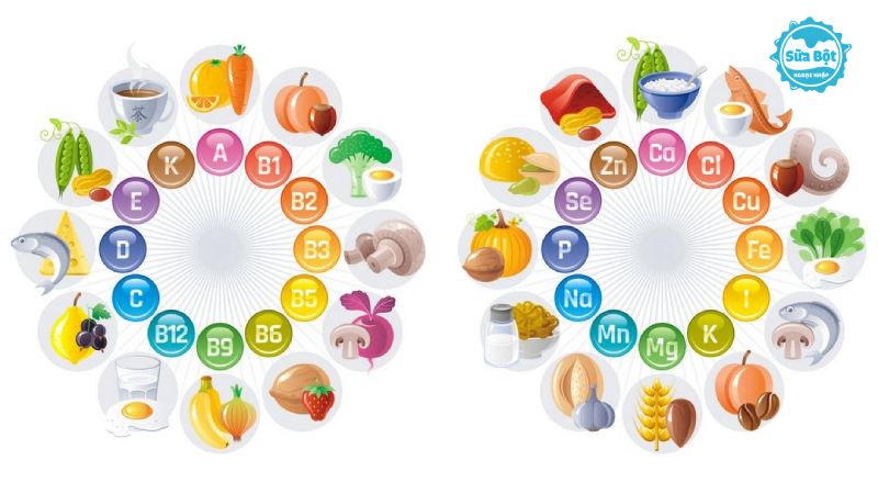Vi chất dinh dưỡng là các loại vitamin, khoáng chất thiết yếu