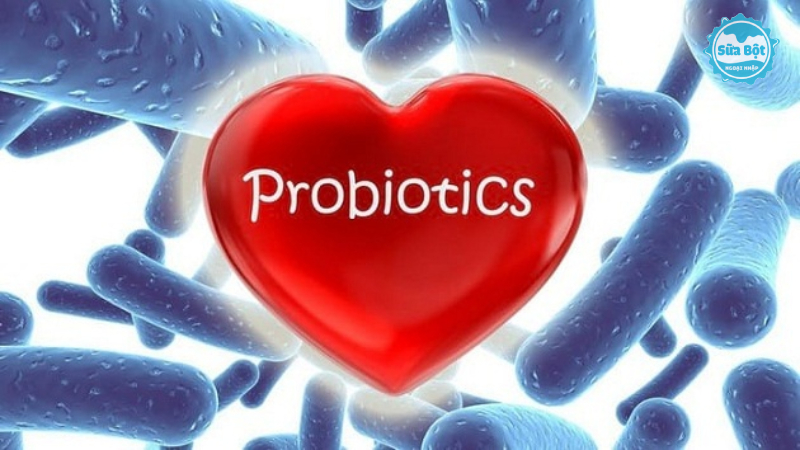 Probiotic là các vi khuẩn có lợi sống trong hệ tiêu hóa