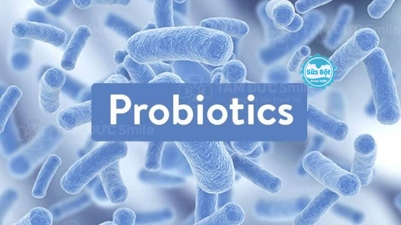 Tìm hiểu về lợi khuẩn Probiotic và tác dụng đối với trẻ em