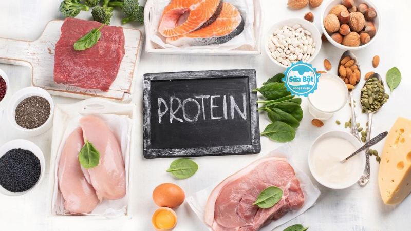 Protein trong sữa là gì? Có vai trò như thế nào đối với trẻ?