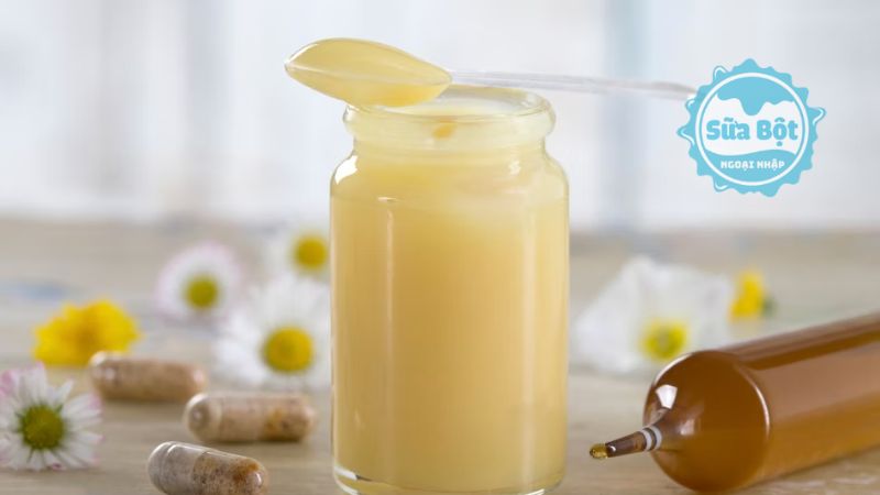Sữa ong chúa là thực phẩm dinh dưỡng chứa vitamin, protein, chất béo, axit amin Sữa ong chúa là thực phẩm dinh dưỡng chứa vitamin, protein, chất béo, axit amin