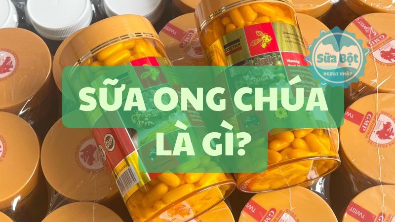 Sữa ong chúa là gì? Những viên uống sữa ong chúa tốt trên thị trường