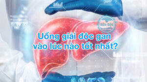 Uống giải độc gan vào lúc nào tốt nhất?