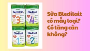 Sữa Bledilait có mấy loại? Có tăng cân không?