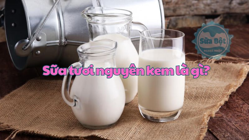 Sữa tươi nguyên kem là gì? Gợi ý một số sản phẩm đang được tin dùng