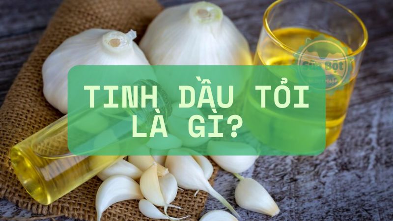 Tinh dầu tỏi là gì? Gợi ý những sản phẩm nên chọn mua