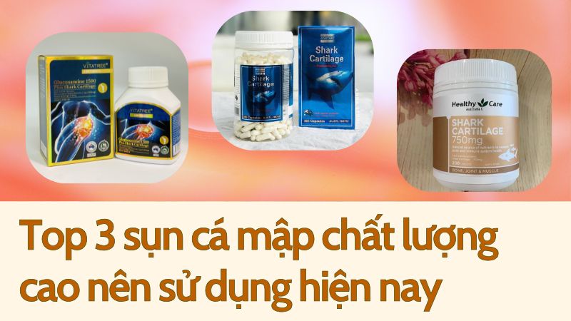 Top 3 sụn cá mập chất lượng cao nên sử dụng hiện nay