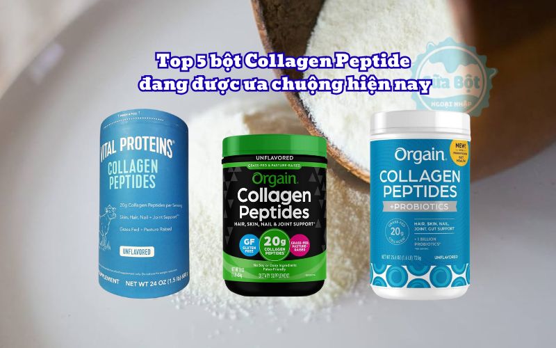 Top 5 bột Collagen Peptide đang được ưa chuộng hiện nay
