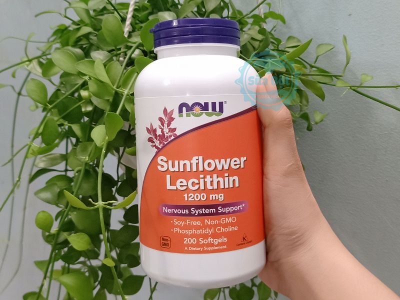Viên uống Now Sunflower Lecithin 1200mg chống tắc tia sữa cho mẹ sau sinh