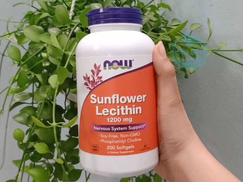 Viên uống Now Sunflower Lecithin 1200mg chiết xuất từ hạt dướng dương, Non-GMO