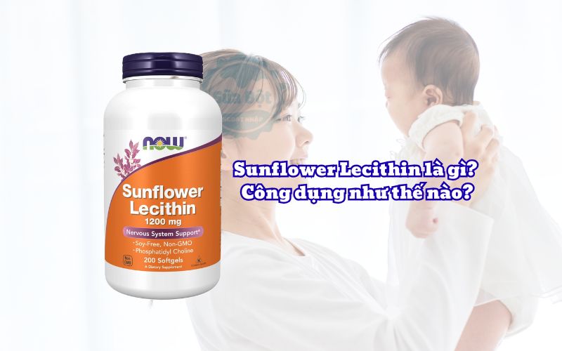 Sunflower Lecithin là gì? Công dụng như thế nào?