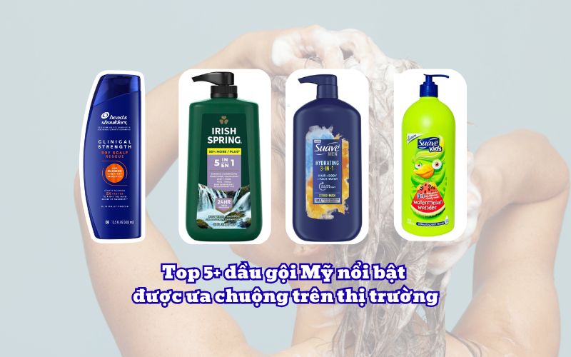 Top 5+ dầu gội Mỹ nổi bật được ưa chuộng trên thị trường