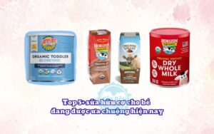Top 5+ sữa hữu cơ cho bé đang được ưa chuộng hiện nay