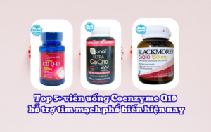 Top 5+ viên uống Coenzyme Q10 hỗ trợ tim mạch phổ biến hiện nay
