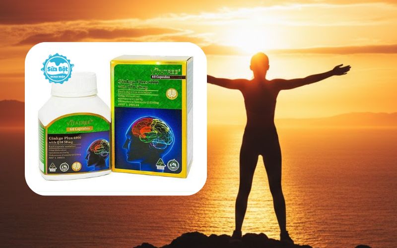 Vitatree Ginkgo Plus 6000 With Q10 bổ sung 6000mg cao bạch quả cùng 50mg Coenzyme Q10