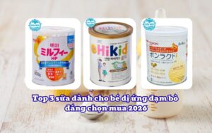 Top 3 sữa dành cho bé dị ứng đạm bò đáng chọn mua 2026