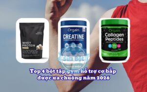 Top 4 bột tập gym hỗ trợ cơ bắp được ưa chuộng năm 2026