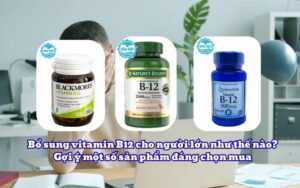 Bổ sung vitamin B12 cho người lớn như thế nào? Gợi ý một số sản phẩm đáng chọn mua