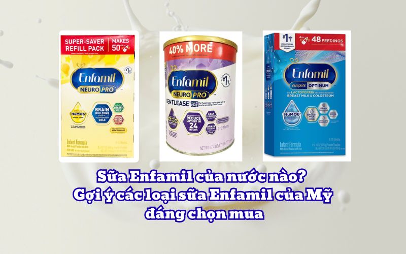 Sữa Enfamil của nước nào? Gợi ý các loại sữa Enfamil của Mỹ đáng chọn mua