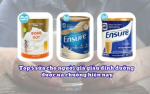 Top 5 sữa cho người già giàu dinh dưỡng được ưa chuộng hiện nay