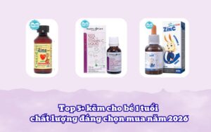 Top 5+ kẽm cho bé 1 tuổi chất lượng đáng chọn mua năm 2026