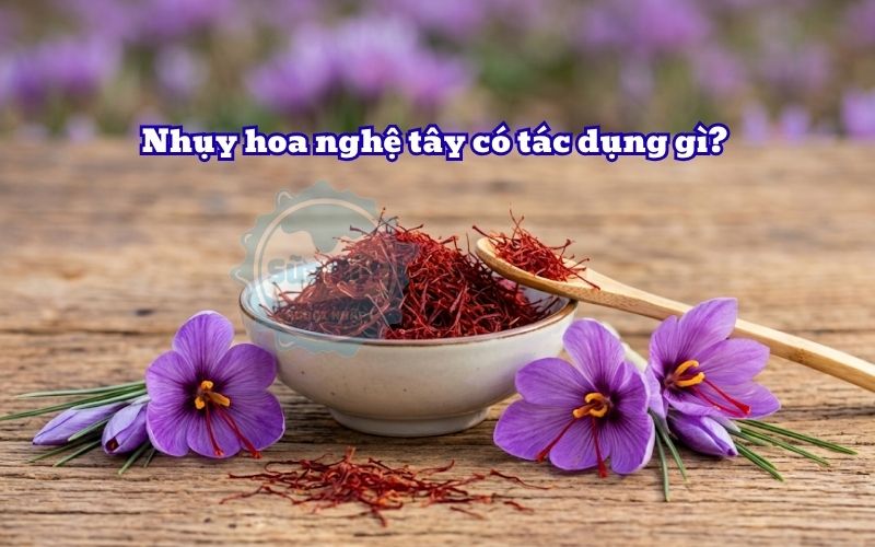Nhụy hoa nghệ tây có tác dụng gì? Gợi ý một số sản phẩm đáng chọn mua