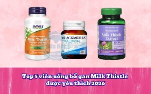 Top 5 viên uống bổ gan Milk Thistle được yêu thích 2026