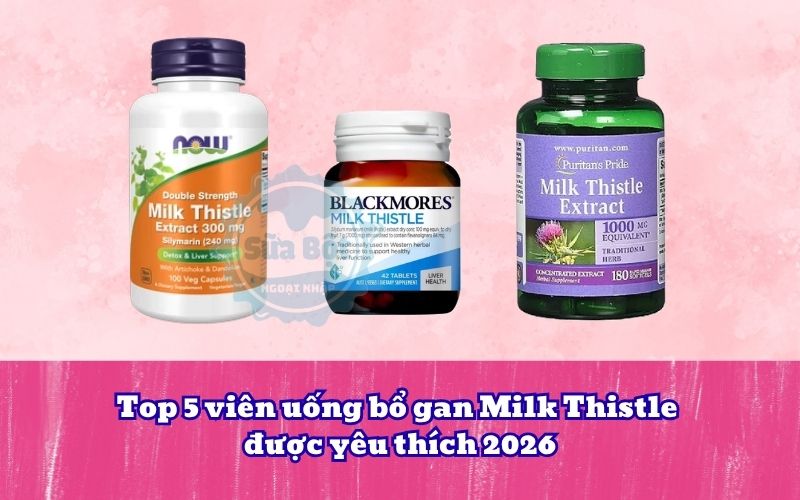 Top 5 viên uống bổ gan Milk Thistle được yêu thích 2026
